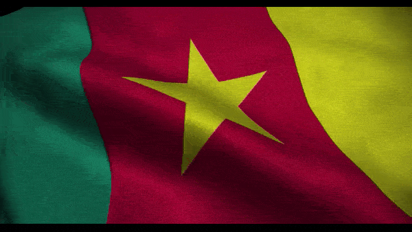 Анимированный флаг Камеруна