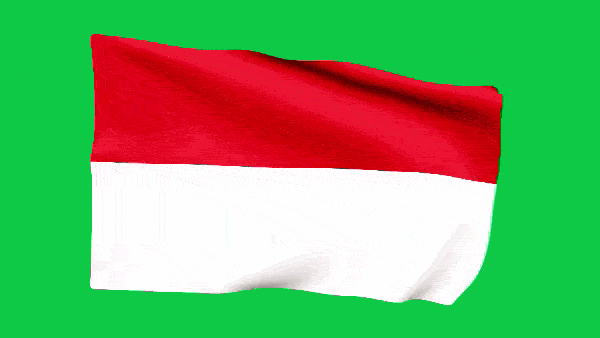 Анимированный флаг Польши