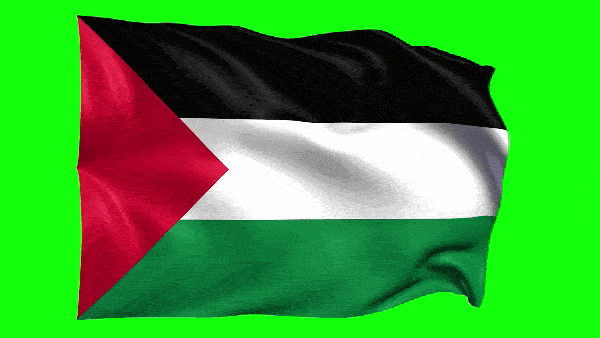 Анимированный флаг Палестины