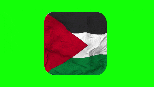 развивающийся флаг Палестины на зелёном фоне в виде иконки приложения