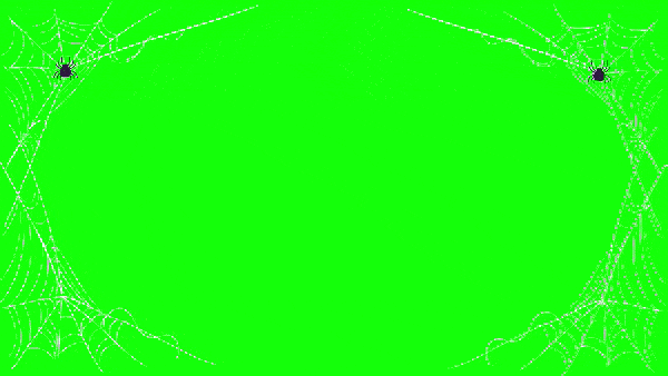 футаж рамка из паутины с пауками на зелёном фоне