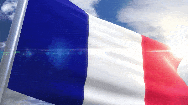 Анимированный флаг Франции на фоне неба с световым бликом