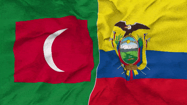 Флаги Мальдив и Эквадора