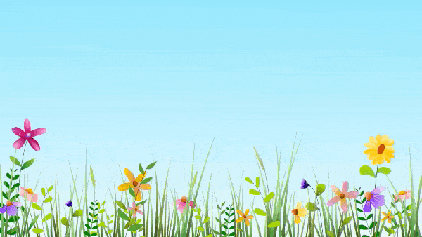 Полевые цветы